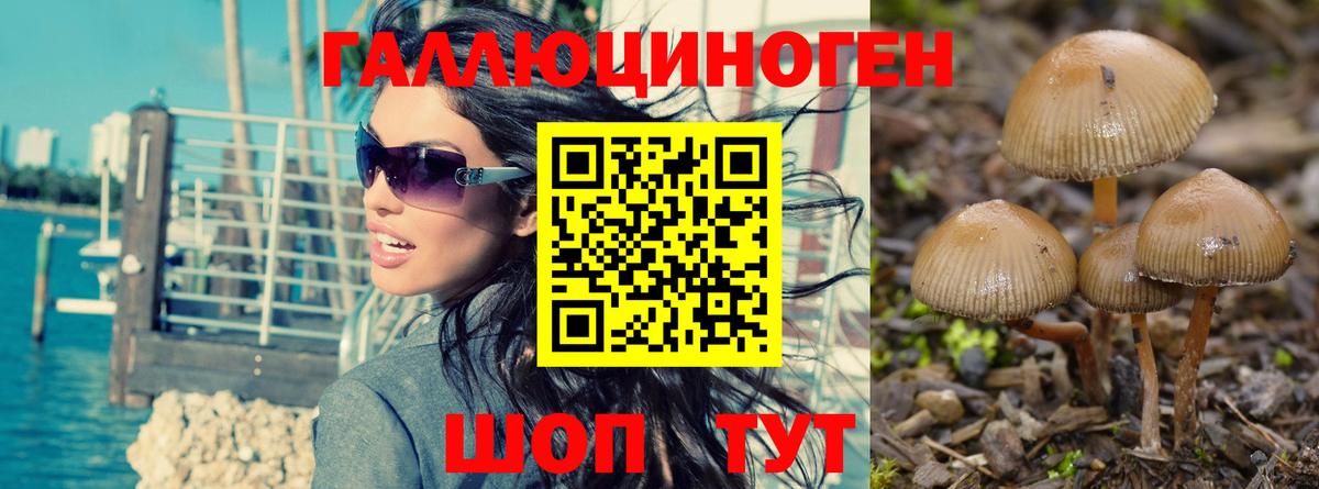 Салават  Псилоцибиновые грибы Magic Shrooms  Вход с VPN 