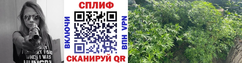 Шишки марихуана гибрид  Салават 